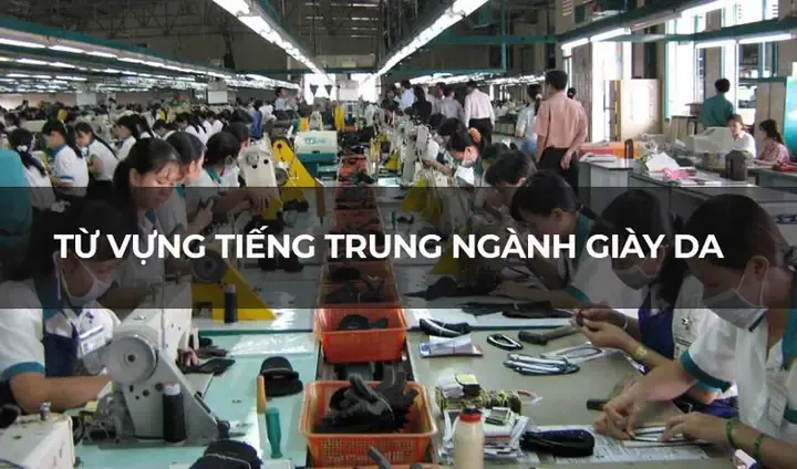 357 Từ Vựng Tiếng Trung Chuyên Ngành Giày Dép: Từ A-Z Cho Người Trong Ngành 357 Từ Vựng Tiếng Trung Chuyên Ngành Giày Dép: Từ A-Z Cho Người Trong Ngành