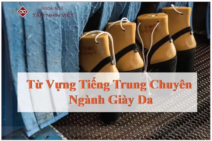 357 Từ Vựng Tiếng Trung Chuyên Ngành Giày Dép: Từ A-Z Cho Người Trong Ngành 357 Từ Vựng Tiếng Trung Chuyên Ngành Giày Dép: Từ A-Z Cho Người Trong Ngành