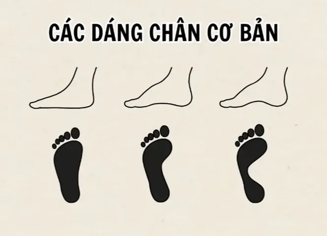 Bàn Chân To Nam Nên Mang Giày Gì? Hướng Dẫn Chọn Giày Thoải Mái & Phong Cách Bàn Chân To Nam Nên Mang Giày Gì? Hướng Dẫn Chọn Giày Thoải Mái & Phong Cách