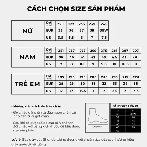 Bạn Đang Sở Hữu Bao Nhiêu Đôi Giày Là Hợp Lý? Khám Phá Số Lượng Lý Tưởng Theo Nhu Cầu