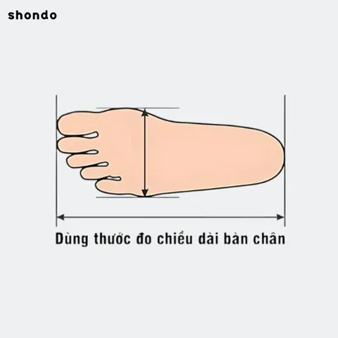 Bao Nhiêu Đôi Giày Là Đủ Cho Nam Giới? Tư Vấn Chi Tiết