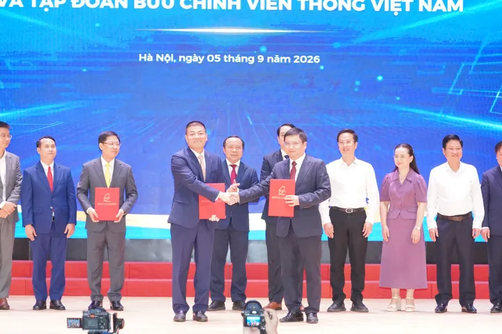 Mua Giày Native Ở Đâu Hà Nội: Top Địa Chỉ Chính Hãng, Uy Tín Nhất