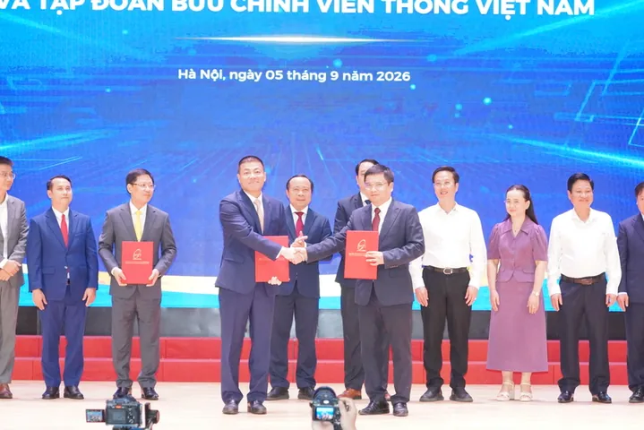 Mua Giày Native Ở Đâu Hà Nội: Top Địa Chỉ Chính Hãng, Uy Tín Nhất