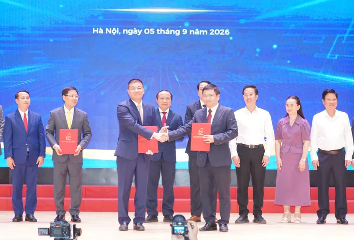 Mua Giày Native Ở Đâu Hà Nội: Top Địa Chỉ Chính Hãng, Uy Tín Nhất