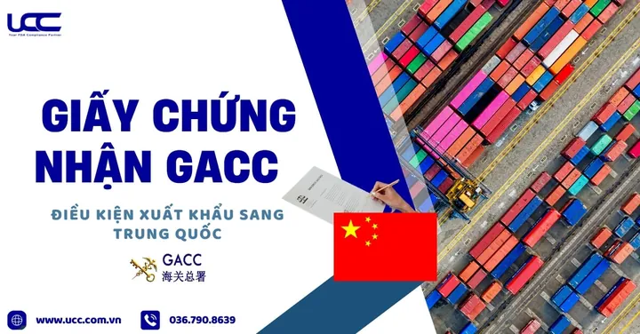 Các Hình Thức Sinh Sản Của Trùng Giày Và Ý Nghĩa Sinh Học Quan Trọng Các Hình Thức Sinh Sản Của Trùng Giày Và Ý Nghĩa Sinh Học Quan Trọng