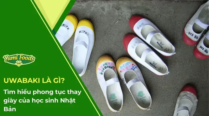 Các Loại Giày Học Sinh Nhật Bản: Quy Tắc, Phong Cách & Lựa Chọn Thông Minh