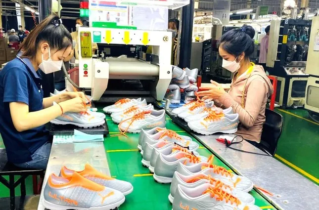Các Ngành Công Nghiệp Dệt May, Da Giày: Vai Trò, Phân Bố Và Thách Thức