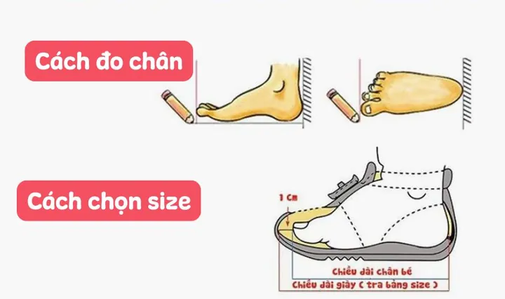 Hướng Dẫn Chi Tiết Cách Đo Chân Chọn Size Giày Cho Bé Chuẩn Xác
