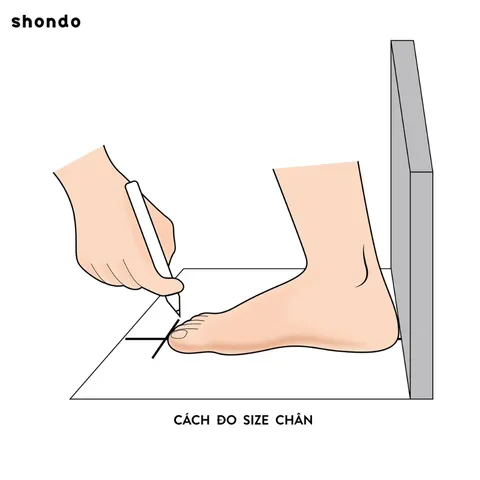 Cách Đo Chiều Dài Chân Chuẩn Xác Để Chọn Size Giày Phù Hợp