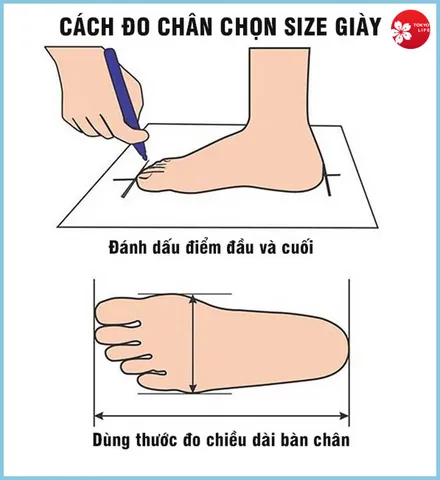 Cách Đo Chiều Dài Chân Chuẩn Xác Để Chọn Size Giày Phù Hợp