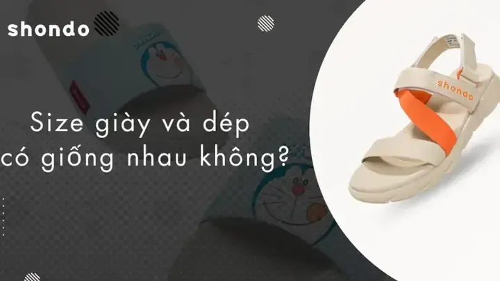 Cách Xử Lý Giày Quai Hậu Bị Mốc Hiệu Quả Tại Nhà Cách Xử Lý Giày Quai Hậu Bị Mốc Hiệu Quả Tại Nhà