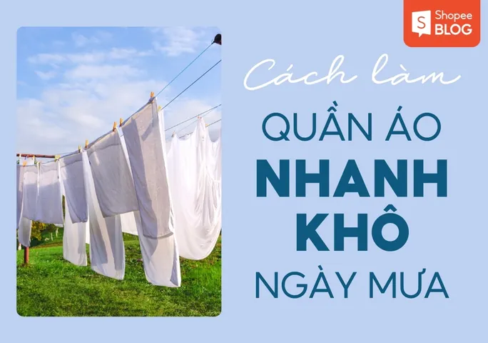 Cách Làm Khô Và Thơm Giày Sau Khi Ướt Hiệu Quả: Mẹo Dân Gian & Hiện Đại Cách Làm Khô Và Thơm Giày Sau Khi Ướt Hiệu Quả: Mẹo Dân Gian & Hiện Đại
