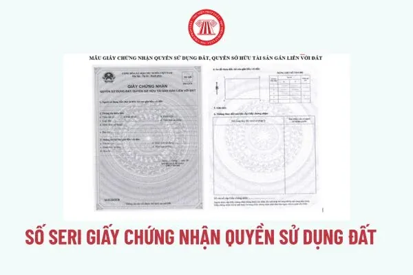 Cách Xác Định Kiểu Giày Chính Hãng Qua Số Seri: Hướng Dẫn Chi Tiết Cách Xác Định Kiểu Giày Chính Hãng Qua Số Seri: Hướng Dẫn Chi Tiết