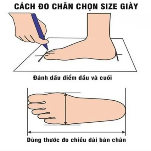Chân 24cm Đi Giày Cao Gót Size Bao Nhiêu? Hướng Dẫn Chọn Chuẩn Nhất