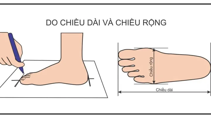 Chân Dài 28cm Đi Giày Size Bao Nhiêu? Hướng Dẫn Chọn Chuẩn Nhất