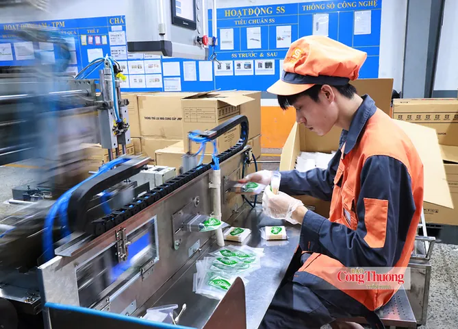 Tuyển Công Nhân May Giày Da Cần Thơ 2017: Việc Làm, Yêu Cầu & Cơ Hội Tuyển Công Nhân May Giày Da Cần Thơ 2017: Việc Làm, Yêu Cầu & Cơ Hội