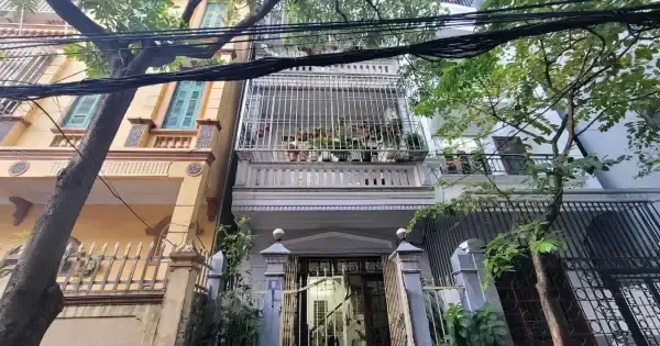 Cửa Hàng Giày Tô Hiệu Trần Tử Bình: Địa Chỉ, Đánh Giá & Mẫu Giày Thời Trang