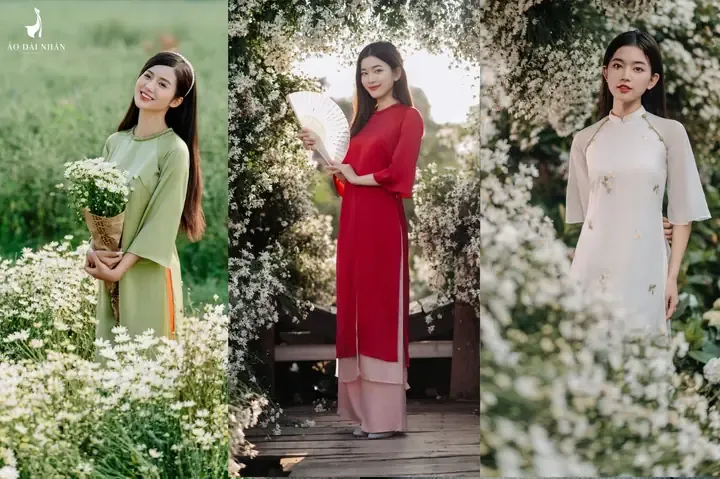 Cho Thuê Giày Cao Gót Hà Nội: Địa Chỉ Uy Tín, Giá Tốt Và Mẹo Chọn Lựa