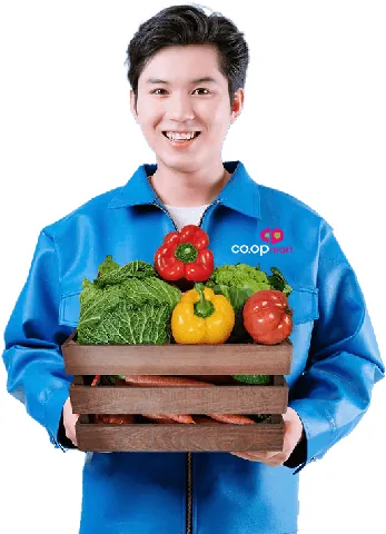 Dung Dịch Cho Máy Vệ Sinh Giày: Mua Ở Đâu Tại Coopmart & Lưu Ý Sử Dụng