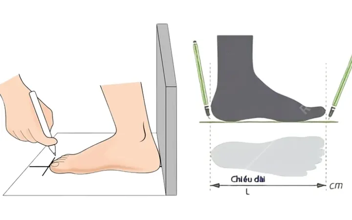 Giày Adidas Size 40.5: Chiều Dài Chân Bao Nhiêu Cm Và Cách Chọn Chuẩn