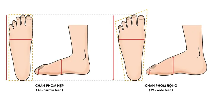 Giày Đá Bóng Cho Người Chân To Ngang: Chọn Mẫu Nào Êm Ái, Vừa Vặn & Tối Ưu Hiệu Suất Giày Đá Bóng Cho Người Chân To Ngang: Chọn Mẫu Nào Êm Ái, Vừa Vặn & Tối Ưu Hiệu Suất