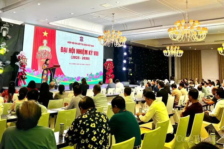 Hiệp Hội Da Giày Túi Xách Việt Nam (lefaso): Thông Tin Chi Tiết Và Vai Trò