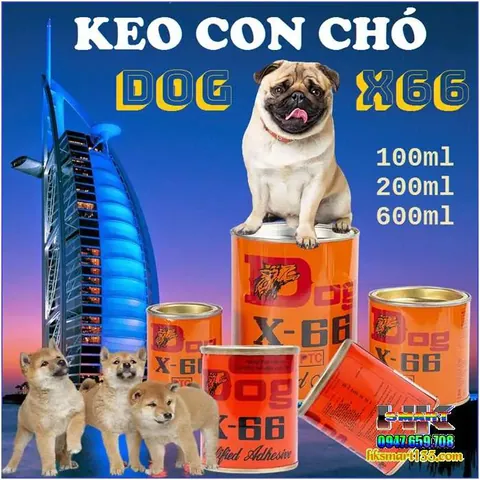 Keo Con Chó Dán Giày Mua Ở Đâu Uy Tín, Giá Tốt Nhất?