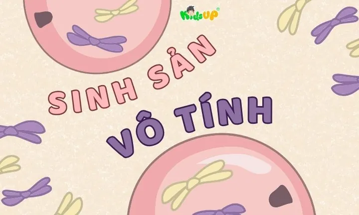 Trùng Giày Sinh Sản Bằng Hình Thức Nào? Khám Phá Chi Tiết Sinh Sản Vô Tính Và Hữu Tính