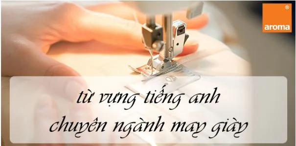Từ Vựng Tiếng Anh Chuyên Ngành Sản Xuất Giày: Thuật Ngữ & Quy Trình Chi Tiết