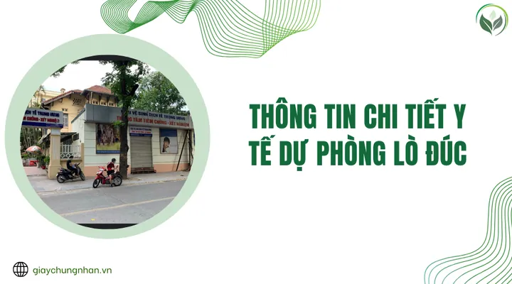Viện Nghiên Cứu Da Giày Việt Nam: Vai Trò, Lịch Sử Và Định Hướng Phát Triển Tại "lò Đúc" Công Nghệ
