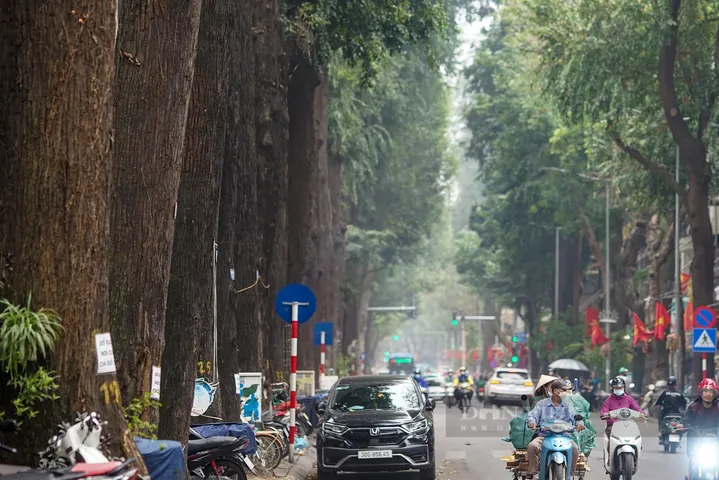 Viện Nghiên Cứu Da Giày Việt Nam: Vai Trò, Lịch Sử Và Định Hướng Phát Triển Tại "lò Đúc" Công Nghệ